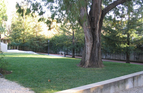 Before image of an Italian garden in Los Angeles with tree and lawn near Pasadena.
