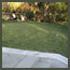 Before image of an Italian garden in Los Angeles with a house  and lawn near 