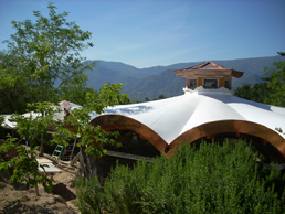 living green roof under construction showing waterproof membrane in Ojai