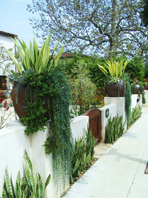 CA garden wall designed with succulents in pots sitting atop front yard wall in Los Angeles. 