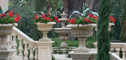 CA Mediterranean garden with spiral junipers, succulents, and bay laurel in Los Angeles.
