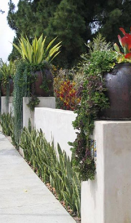 CA garden wall designed with succulents in pots sitting atop front yard wall in Los Angeles. 