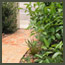 CA Mediterranean garden with lavender, citrus, river stones, and bay laurel in Los Angeles.