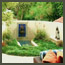 A flagstone patio next to a pool with lounge chairs, succulent beds, and planter 