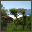 Showing Ojai Council House’s Living roof waterproof membrane before installation soil 