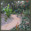 A private botanic garden with plants from all around the world planted in the back 